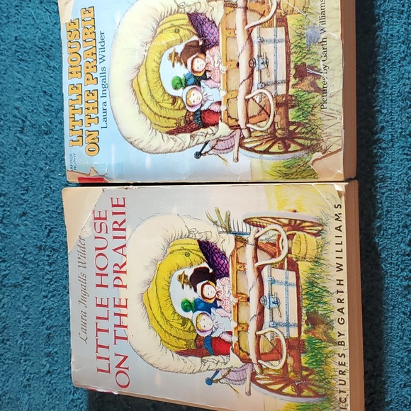 Little house on the prairie - Picture 5 of 6